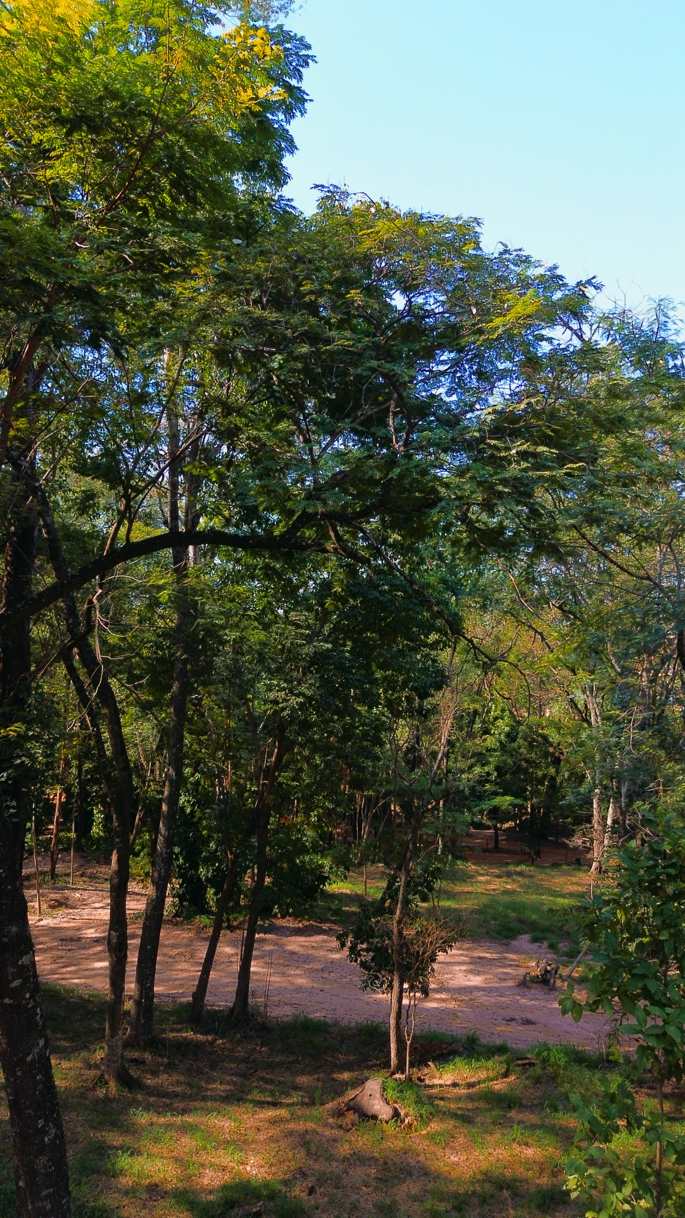 Sequência espetacular de drone seguindo atleta em montanha de bike com paisagem desfocada